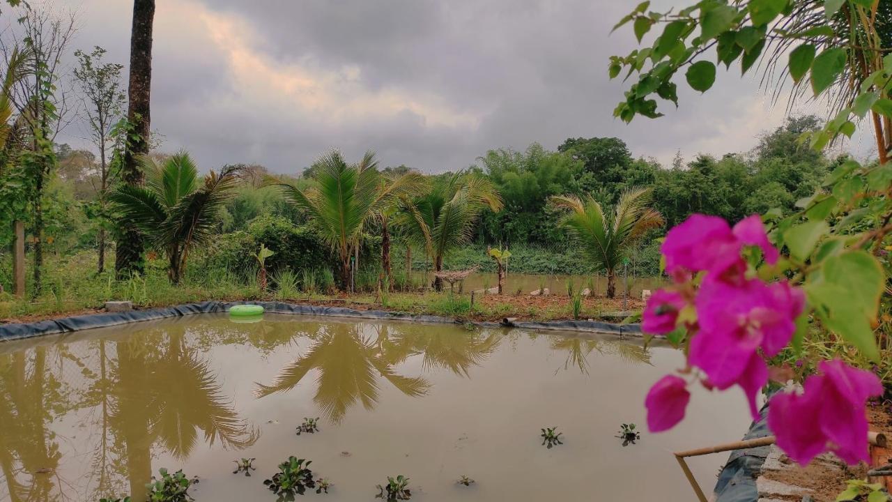 Homestay Dat Viet Cat Tien Exterior photo